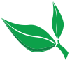 Plant2Plast A/S Logo